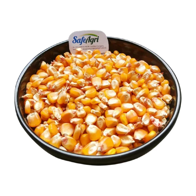 High Quality Yellow Corn from India 14% Max Moisture AD Dried Yellow Colour Premium Grade Maize for Animal Feed
