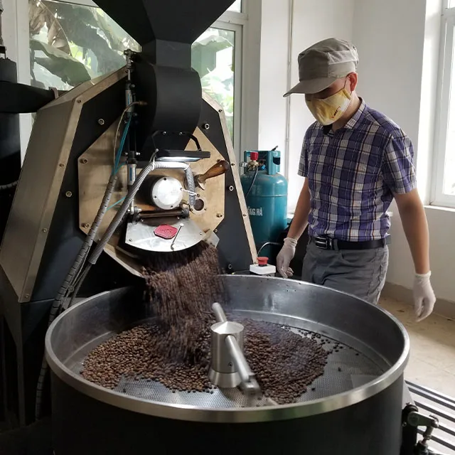 High Quality Robusta Coffee Beans Fully Wash Honey Process Natural from Vietnam Low MOQ 2kg Ready to Ship Competitive Price