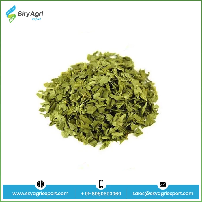 Новое поступление специи и травы натуральные листья кориандра цельные кориандр от индийского производства