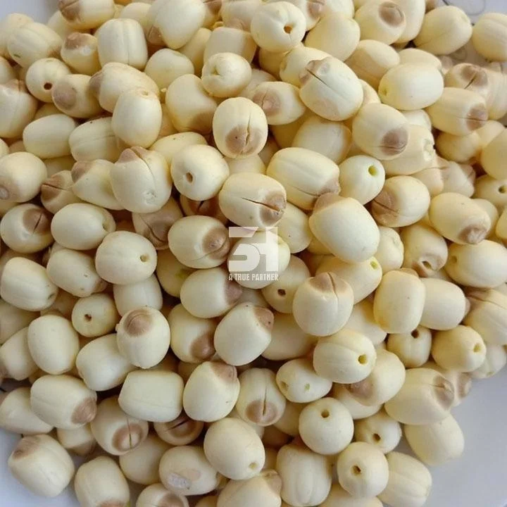 100% Natural Dried Lotus Oragnic With Premium Grade From Factory In Vietnam