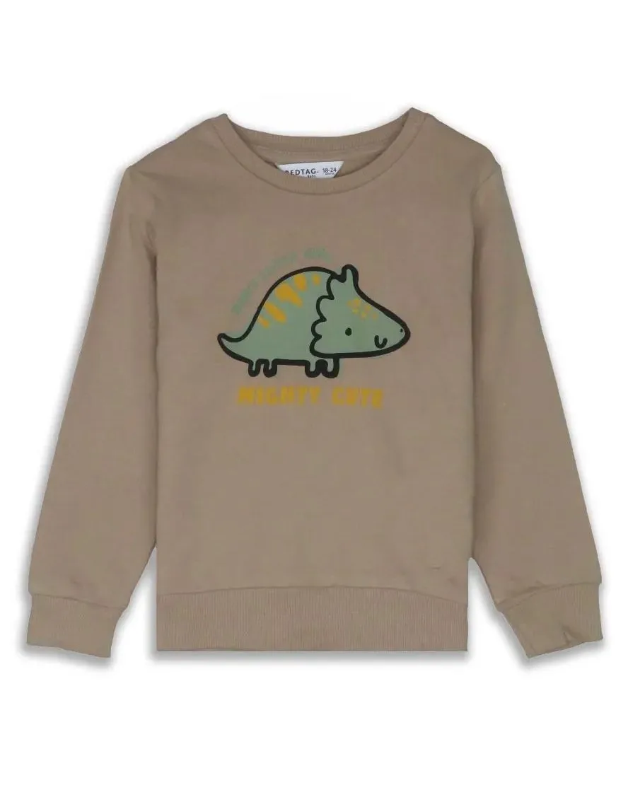 Printed Long Sleeve Boys Sweater Stocklot BABY BOYS PULLOVER SWEATSHIRT Fleece Sweater Wholesale Export Surplus Garments