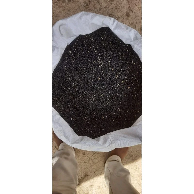 Лук Massine clian Texas grano для свежих овощей