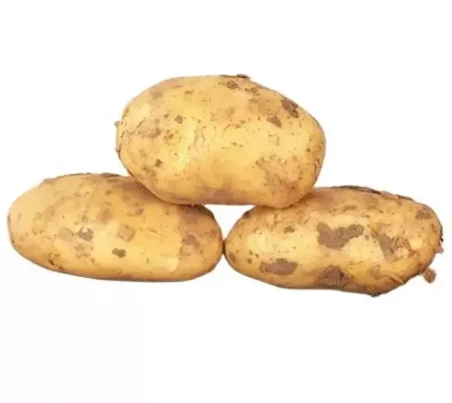 Оптовая Продажа Свежий желтый картофель на