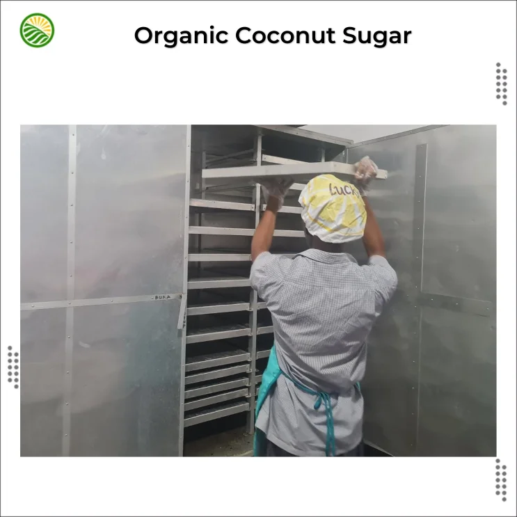 Organic Unrefined Coconut Sugar/ High Quality Natural Coconut Sugar/ Coconut Sugar From Indonesia