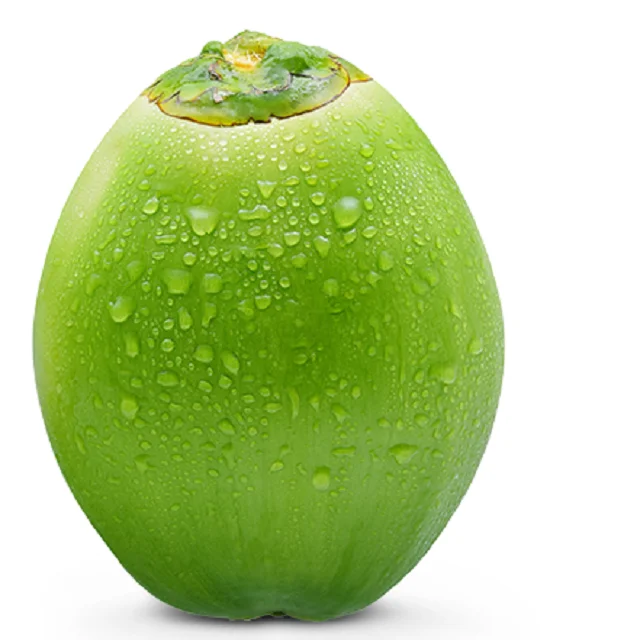 FESH COCONUTS FROM FRANCE