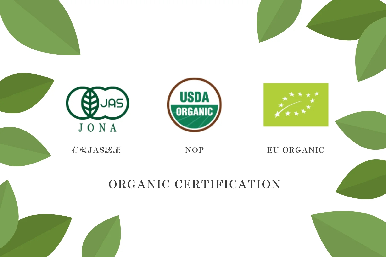 Japanese Uji Ceremonial Green Tea Matcha Wholesale Powder Pure Bulk Organic Sweetened Price