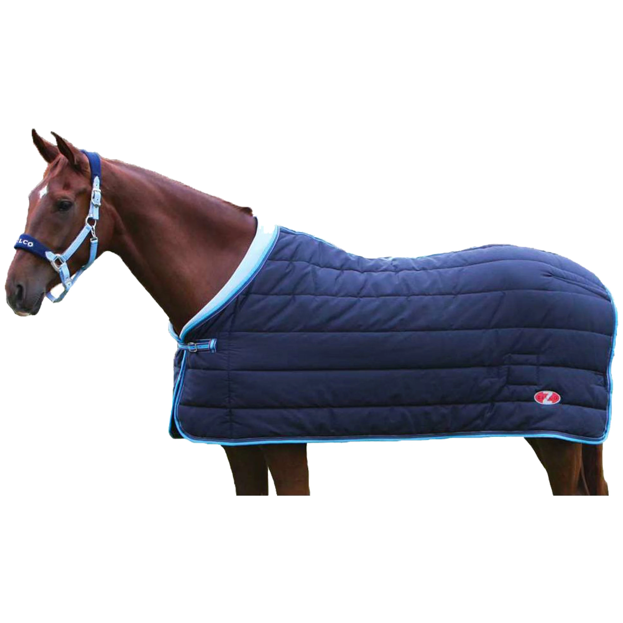 Horse Equipment Cotton Winter Equine Products Breathable Saddle Equestrian Waterproof Horse Rugs Neck Cover Blanket Pink Purple