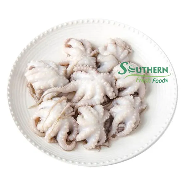 WR Wild Caught SFF Packing shelf usage style quality high products 2 years life seafood export Frozen Baby Octopus from Vietnam
