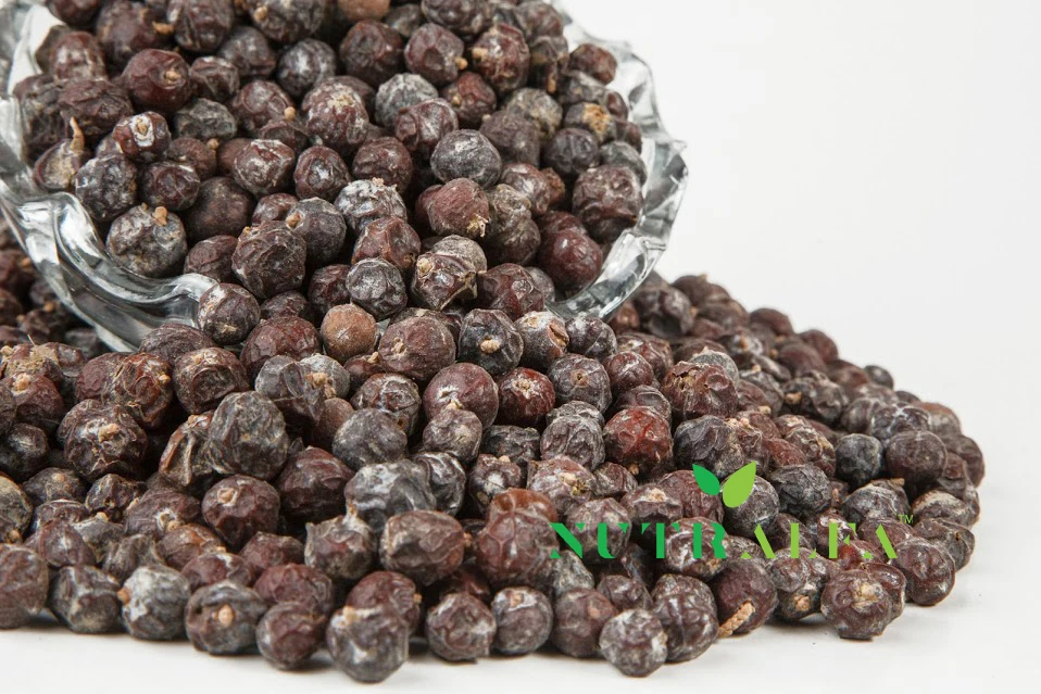 ISO 9001:2015 и HACCP высококачественные ягоды Juniper пищевого класса сертифицированное качество ЕС