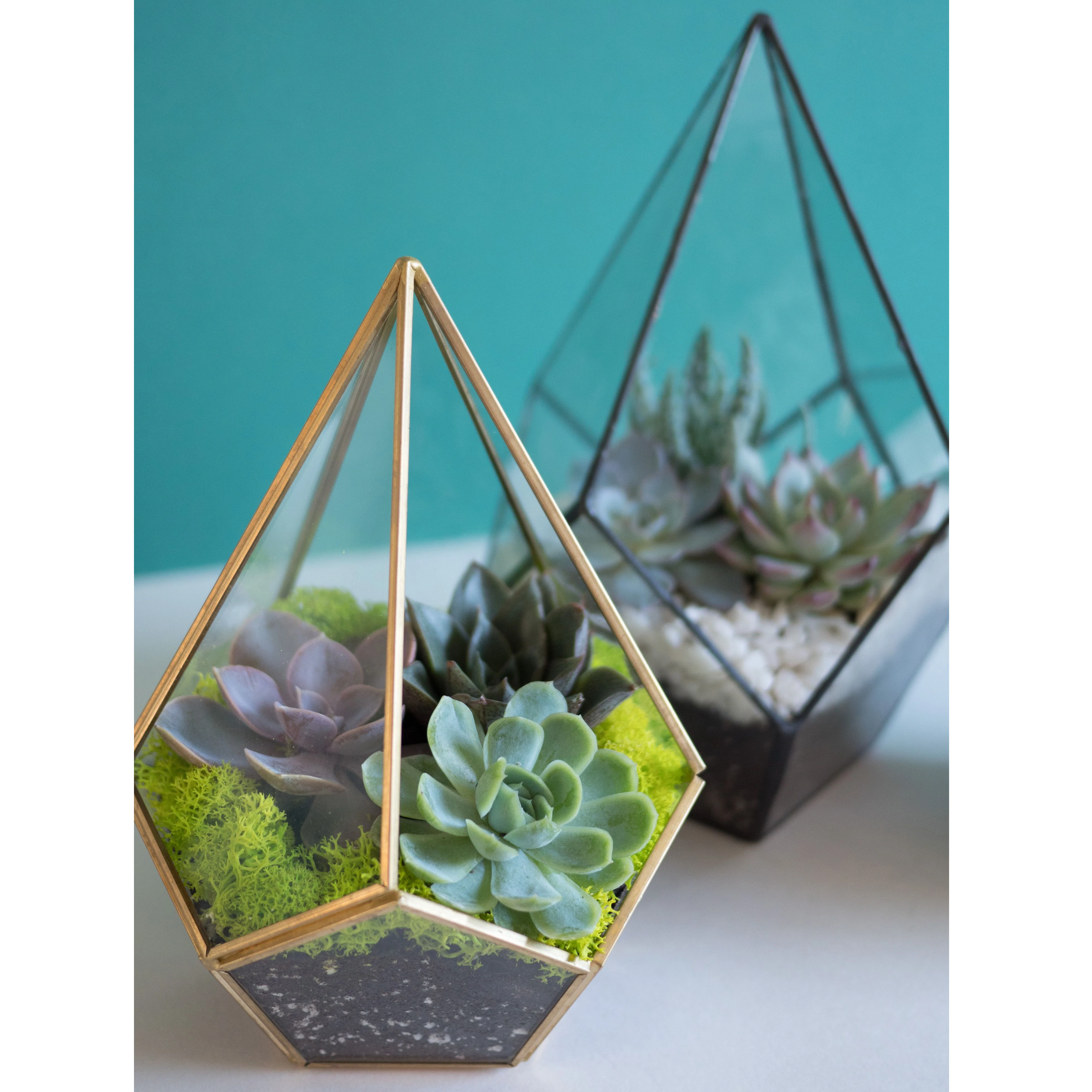Brass Border Newly Stocked Glass Terrarium For Exclusive Price In Black Colour For Wedding Table Decor & Home Decoration
