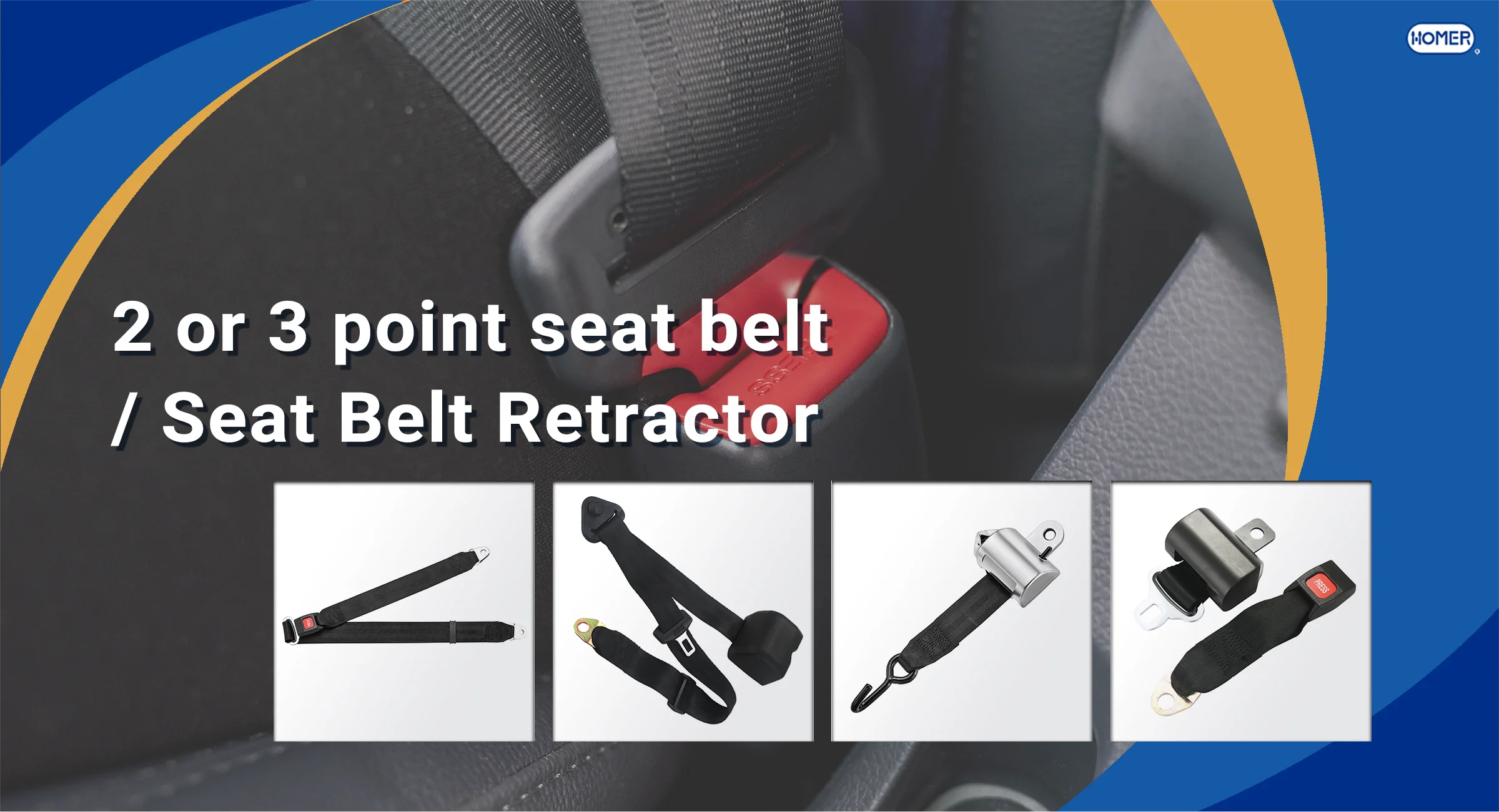 2 or 3 point seat belt