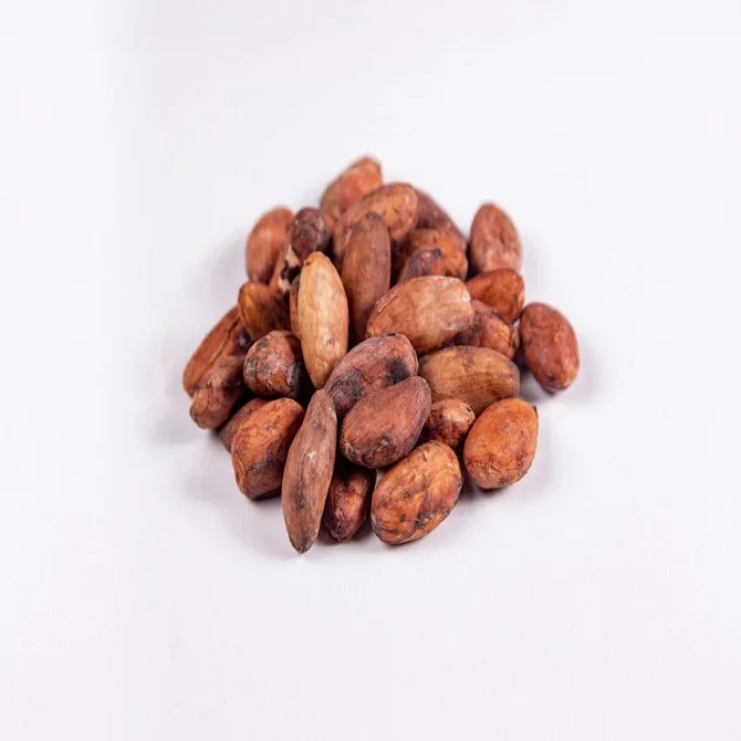 Unroasted Cocoa Beans in Stock | Buy Raw and Roasted Cocoa Beans in Bulk Good Prices