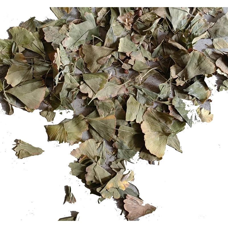 Heat-selling FOLIUM GINKGO  biloba leaf  promotes memory and improves brain function