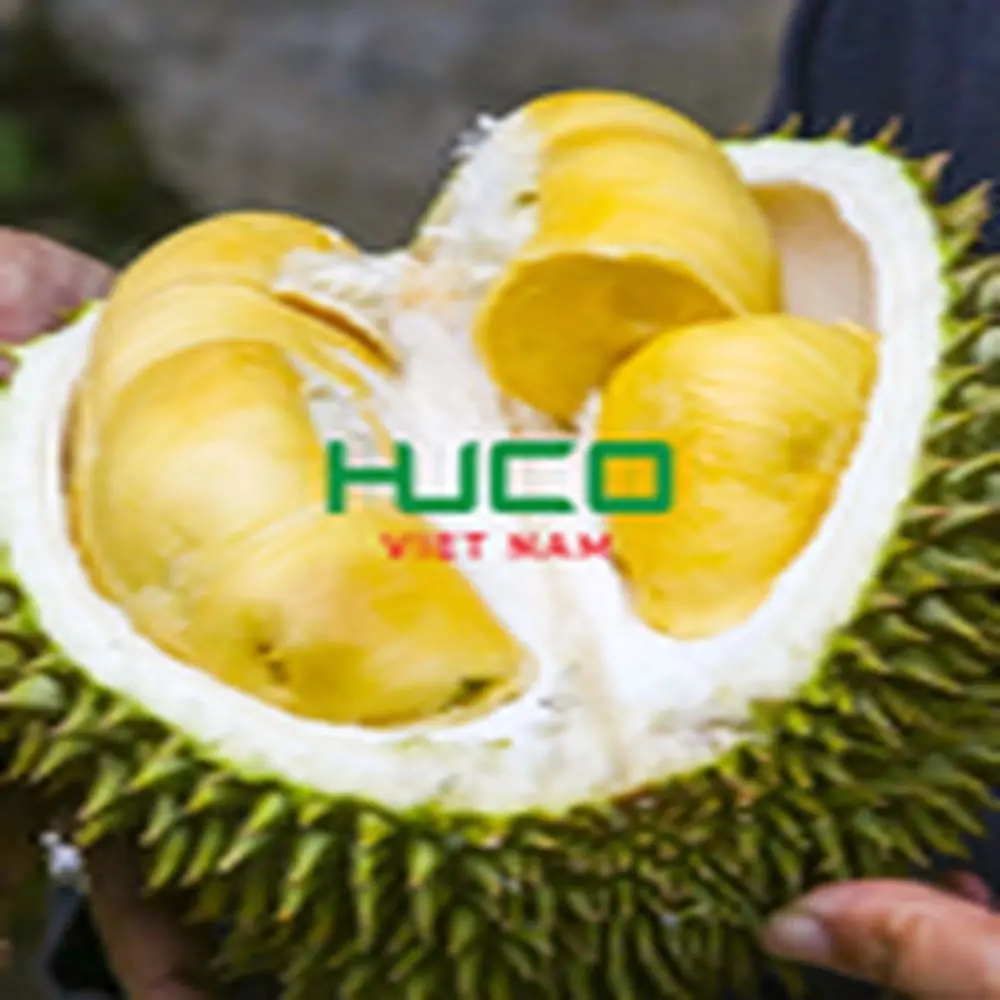 Fresh Durian Fruit from Vietnam High Quality at Cheap Price for worldwide shipping