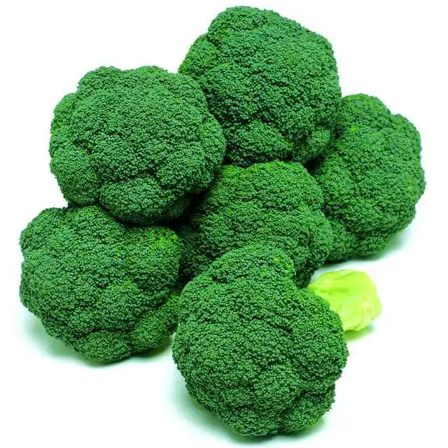 Fresh Vegetables IQF Broccoli