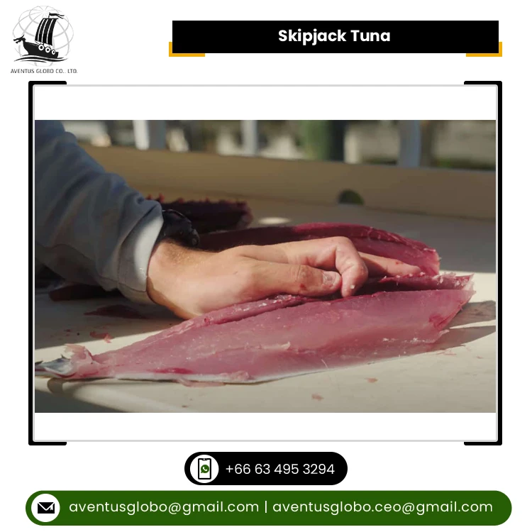 Thailand Origin Manufacturer Supply Factory Low Price Clean Frozen Seafood Product Skipjack Tuna Fish for Sale