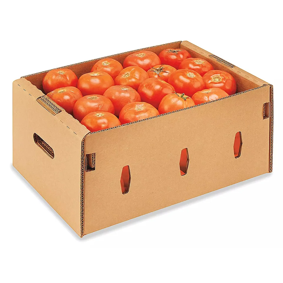 Wholesale Green Farmer From Vietnam Supply Fresh Tomatoes Fresh Vegetables Used To Decorate And Spice Up Meals High Quality