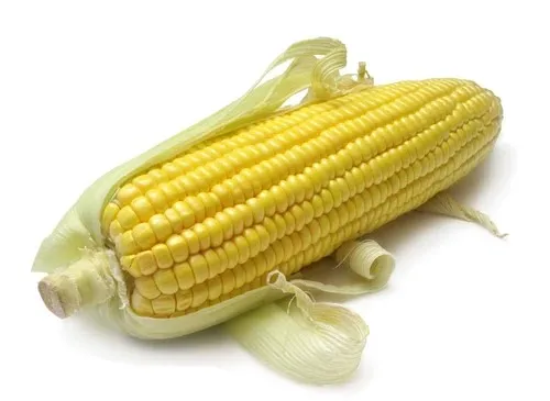 Animal Feed For Poultry and Livestock High Quality Dried Yellow Maize Wholesale Supplier From India At Lowest Price