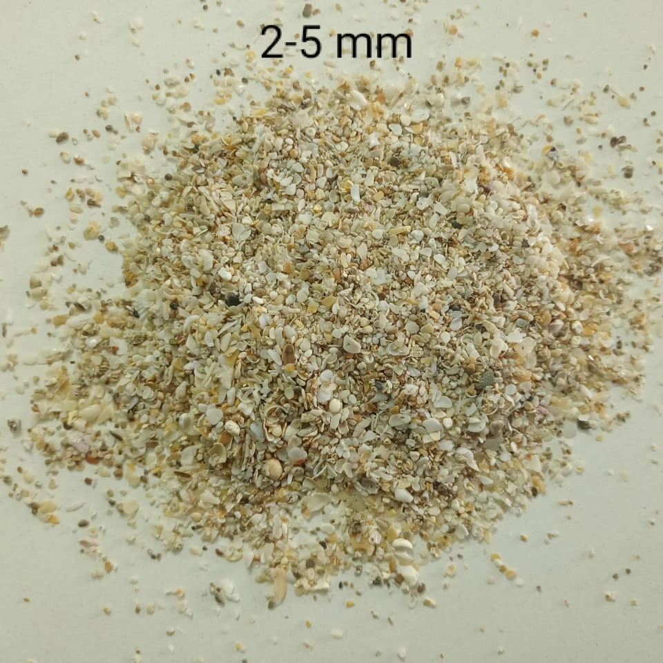 sea shell crushed sand and sae shell crushed stone aggregate for poltri feed bird feed bird food special supply in bulk quantity