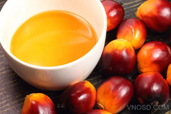 Palm oil In Vietnam High Quality oil product And Best Price Organic oil With olein Extracted
