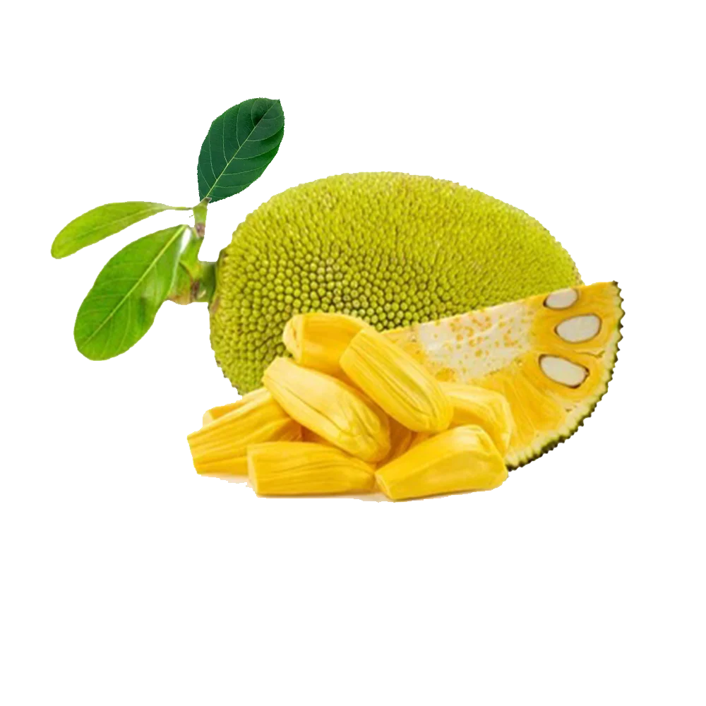 New 2022 Season Frozen Jackfruit Organic Fresh Fruit Good Sweet International Quality with Good Price 0084-903 839 617