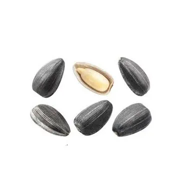 Seeds Kernel/Sunflower Ready for Export Factory Direct Sales Healthy Pure Natural Vegetable Nuts Newest Crop Organic Bulk