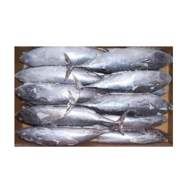 Лучшая цена, замороженная цельная рыба-тунец оптом, в наличии, с индивидуальной упаковкой