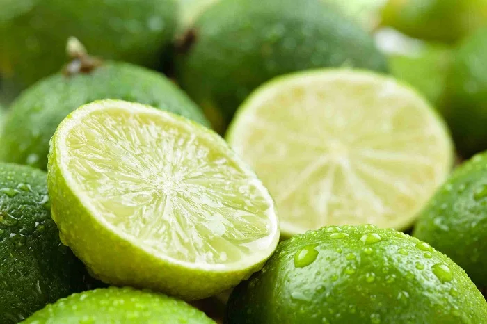 Organic Fresh seedless lime/green lemon fresh fruit without seed from Vietnam high quality wholesales