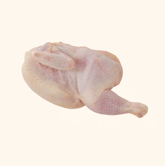 Halal Brazilian Frozen Chicken Breast - Buy Frozen Chicken Breast Fillet,Frozen Chicken Paw