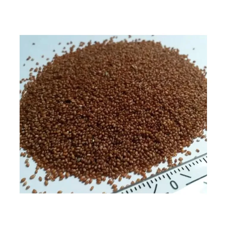 Excellent Premium Grade Teff Grains / Teff Flour