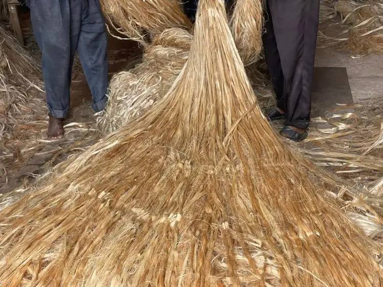 High Grade & Low Price 100% Natural Raw Jute Moisture Premium Quality Direct Factory Supply Raw Jute from Bangladesh