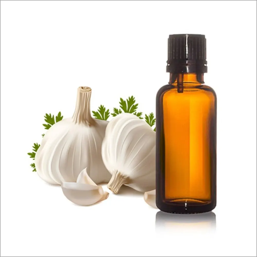 Premium Quality Hair Care Benefits Garlic Essential Oil helps Fight Dandruff and Split ends of hair buy from India