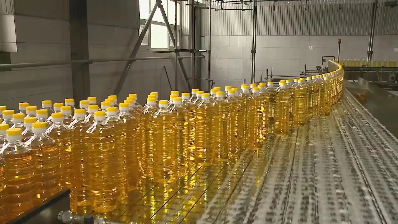 Высокое качество подсолнечное масло MASTURZO в ПЭТ пластиковой бутылке 10 л для жарки