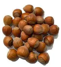Natural Taste Quality Blanched Hazelnut/Hazel / The Most Preferred Hazelnut Wholesale