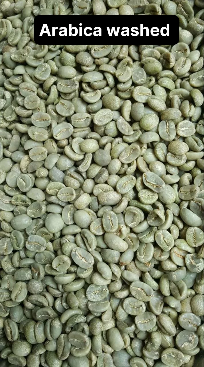 The best coffee beans in the world Arabica Type Viet Nam green coffee beans robusta - weight loss drink