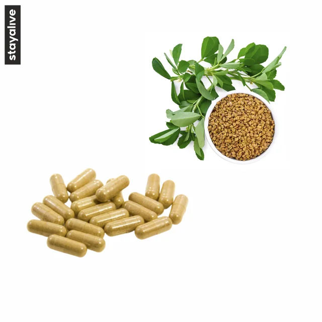 Nutritional Supplement Fenugreek  Extract Capsules | Seed Extract Capsules | Herbal Extract (60,90,120 Capsules)