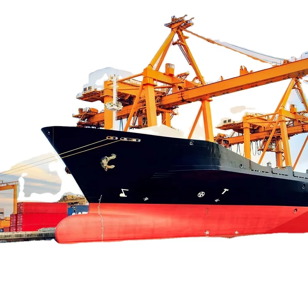 Professional international freight forwarding shipping services from China to USA FBA Amazon by FOB/DDU/DDP