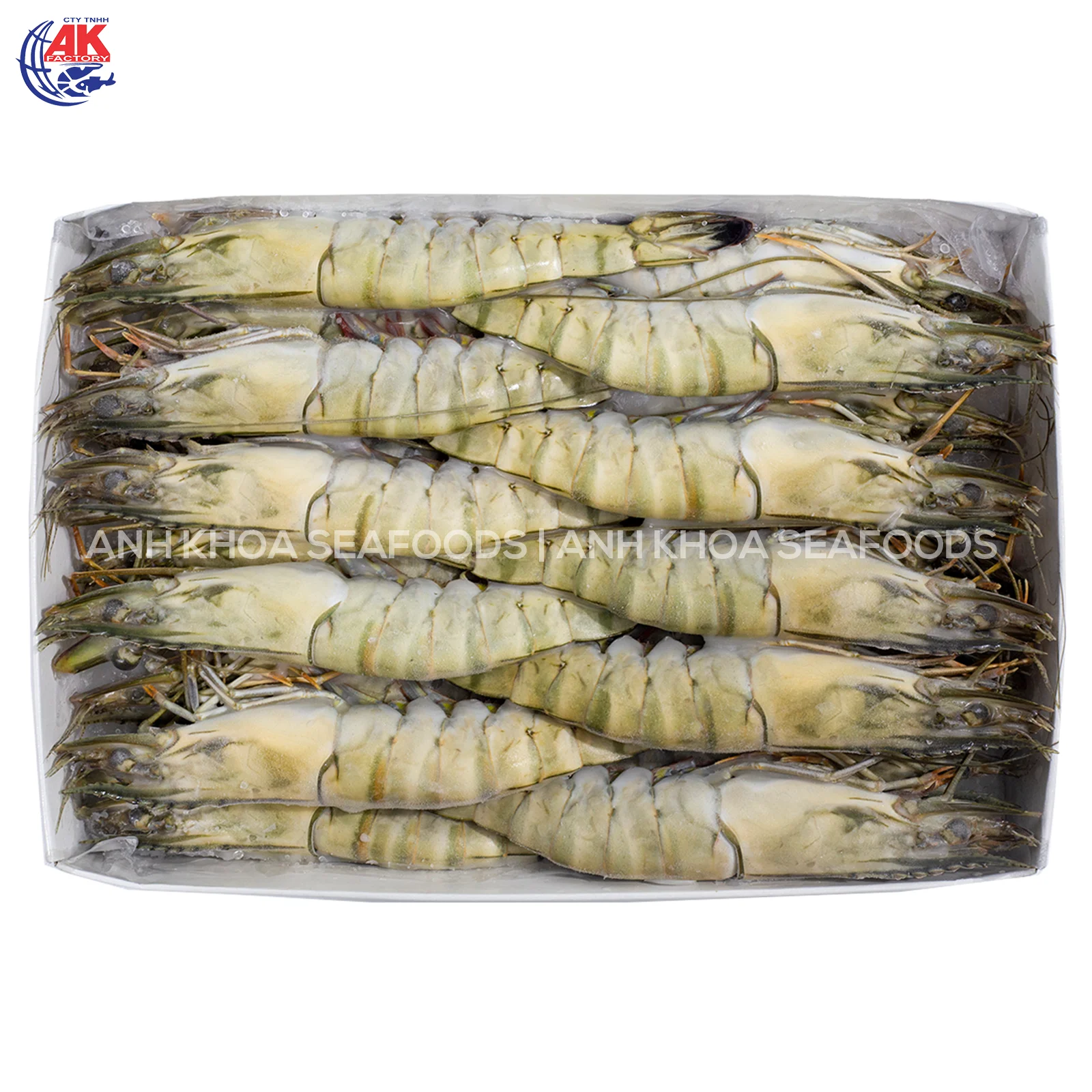 Best Price Wholesale Seafood BT/HOSO Fresh Black Tiger Shrimp Head On Shell On With Custom Weight Order Origin From Vietnam