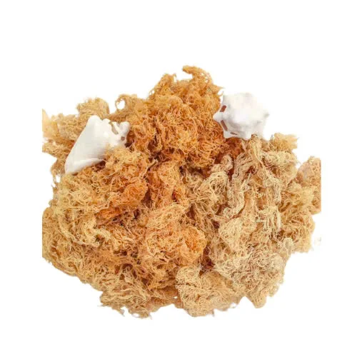 Сушеный морской мох оптовая продажа разумная цена хорошее качество 2024 упакованный в пакет на молнии по запросу