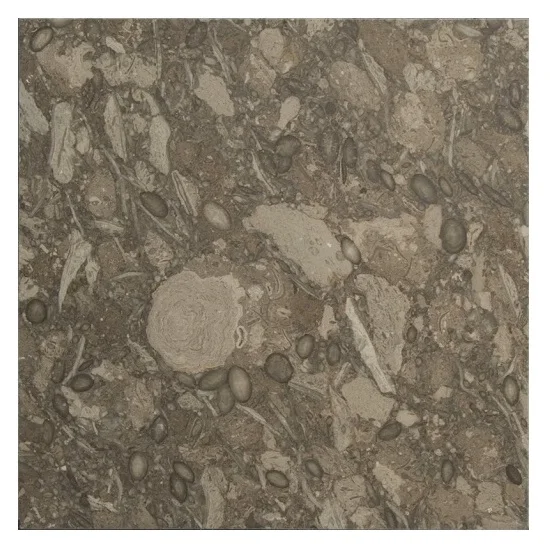 Premium Pakistani Fossil Brown Marble Slabs in Custom Sizes, Pakistani Fossil Brown Marble Slabs, 100% Natural Fossil Marble