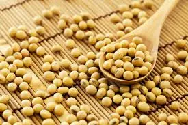 Factory Wholesale Organic Soybeans Non Gmo Soy Top Grade Yellow Soybeans For Making Tofu