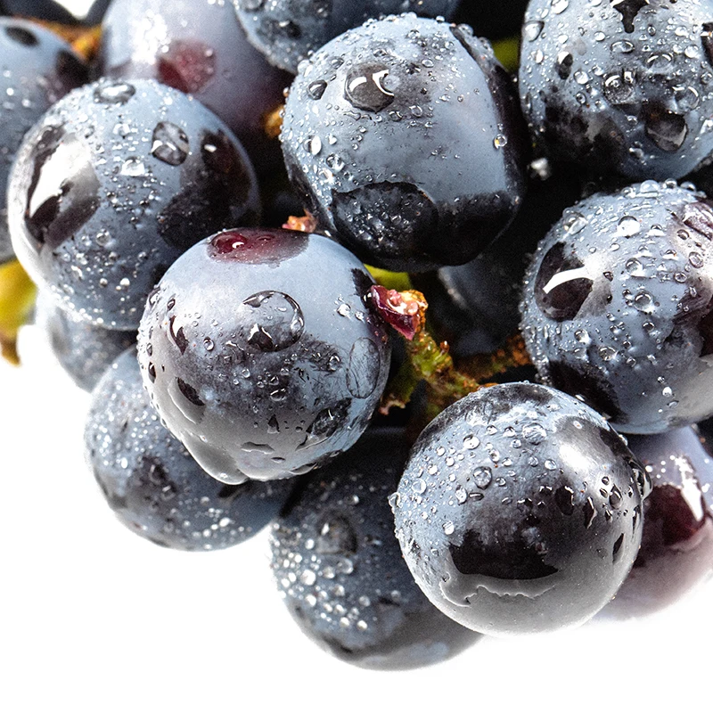 Varieties Seedless grapes fruit price sweet crop style storage cool packing fruit fresh grapes