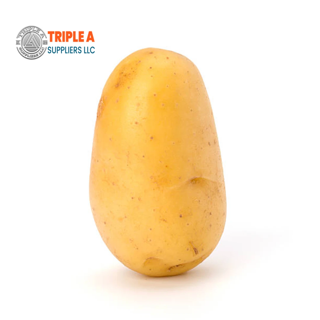 New Crop Fresh Potatoes Fresh Potatoes Top Grade High Nutrition Certified White and Certificate Fresh Potato with factory price