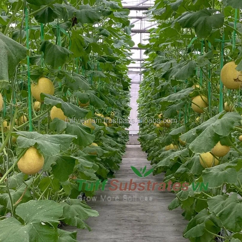 Best sales hight Quality Growbags 28L Coconut Fiber For Growing Strawberry Plants Agriculture Greenhouse Soil Mixing in big plan