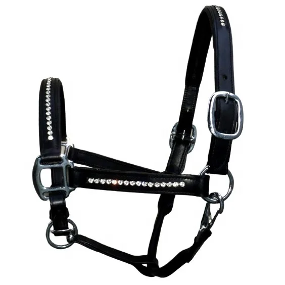 Classic Halter leather hater comfortable Genuine Leather Padded Horse Halter and Head collar Leather Adjustable Halter