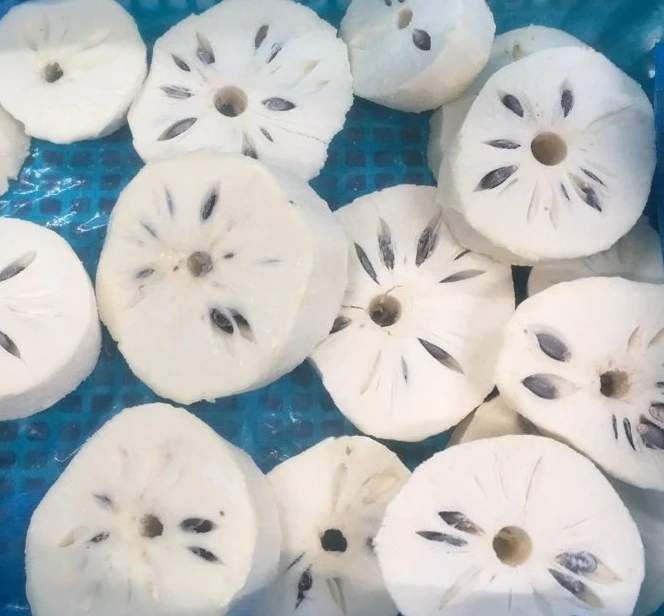 Лучшая цена высококачественный замороженный soursop готов к экспорту оптом из Вьетнама