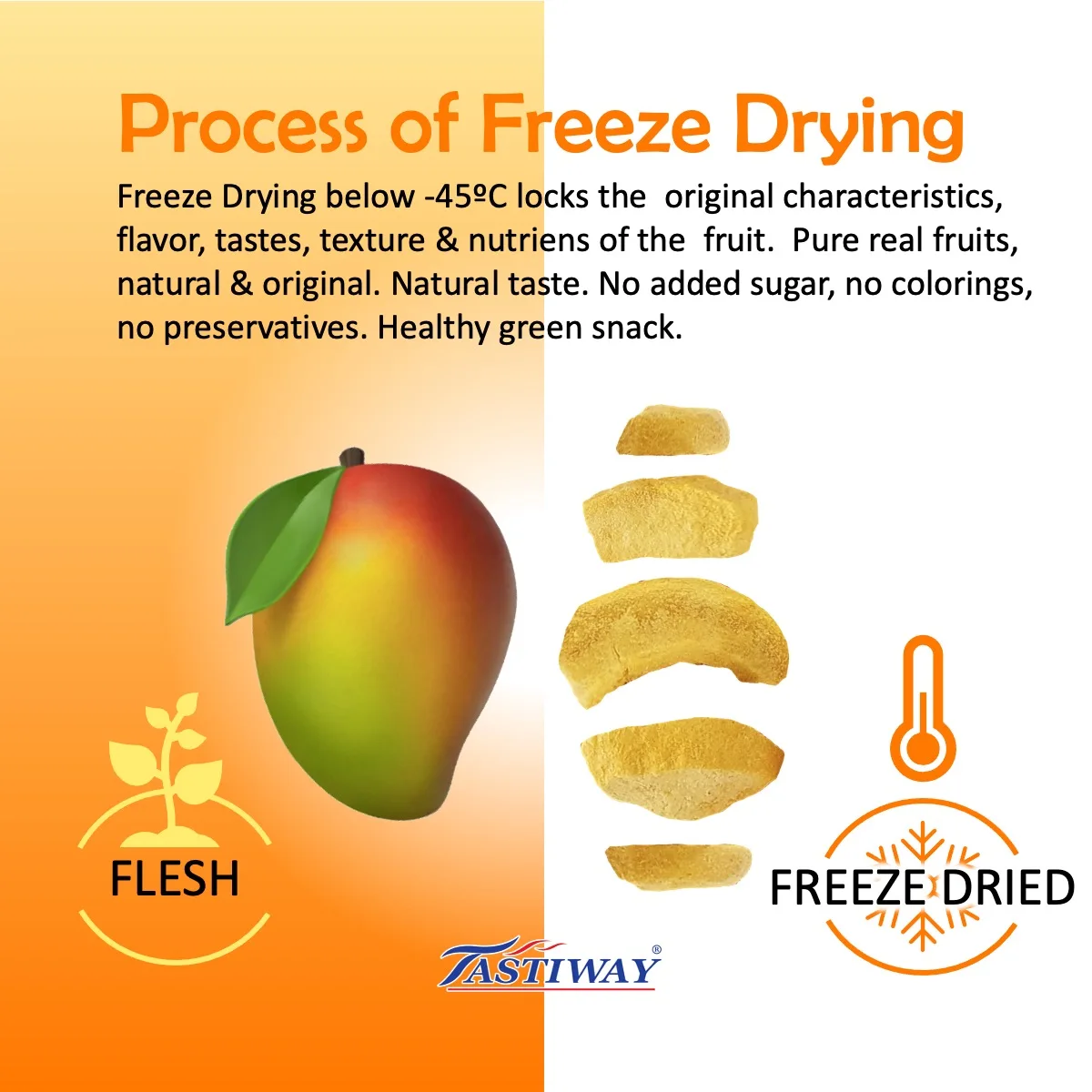 Top Selling Cheapest Price Malaysia Premium Natural Fresh Mango Yellowish Color Freeze Dried Food Slice Shape 0.02kg Weight