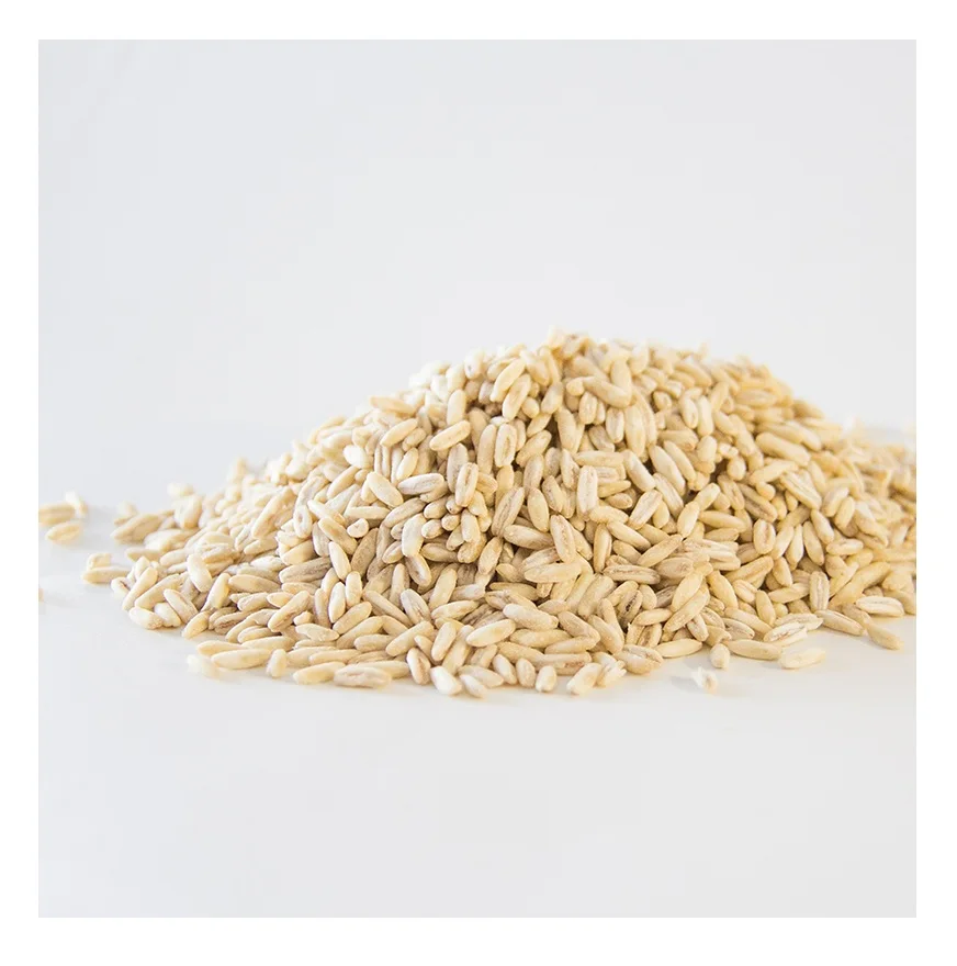 Top Quality Hulled Oats/ Oats Grains For Sale