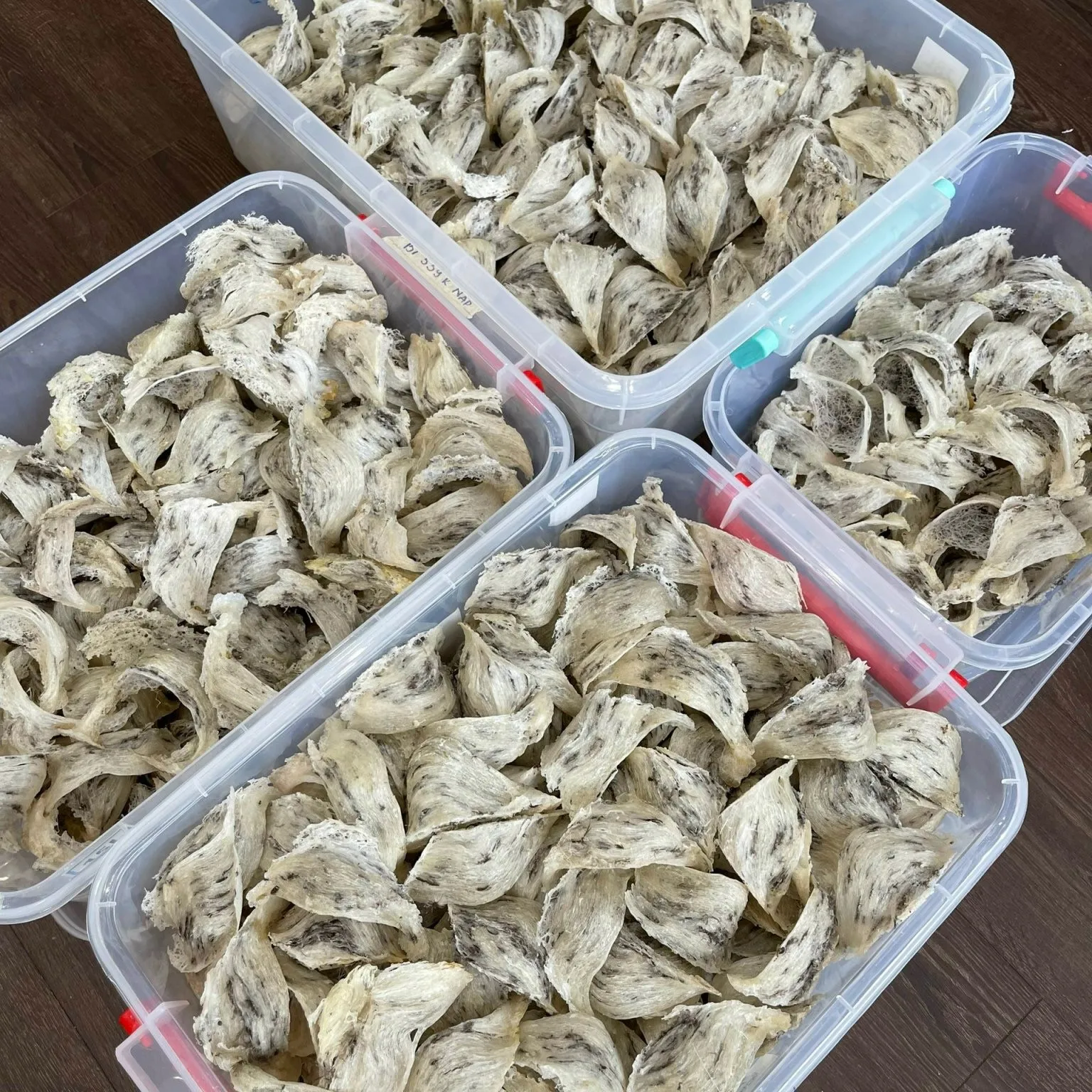 Cheap Price High Quality Medium Size Original Few Spongy Slight Fishy Taste Vietnam Type B Raw Bird Nest