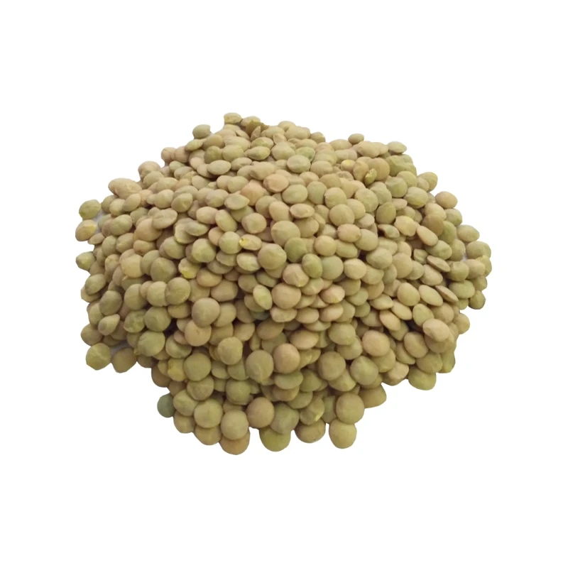 High quality Green Lentils ecological product of Russia wholesale prices lentils for sale in bulk